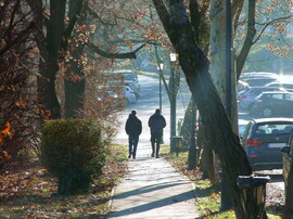 Séta reggeli fényben 