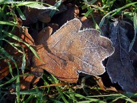 A téli reggel szépsége 