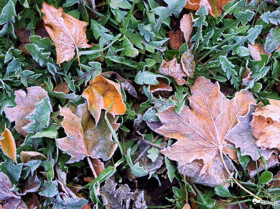 Reggel, a lábam alatt :)