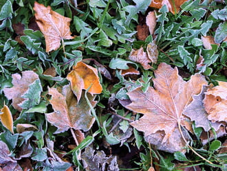 Reggel, a lábam alatt :)