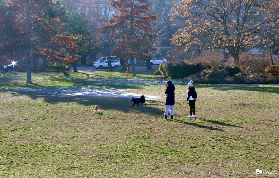 Nagy a viháncolás! :) 