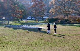 Nagy a viháncolás! :) 
