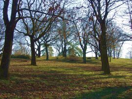 December végi fények 