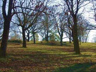 December végi fények 