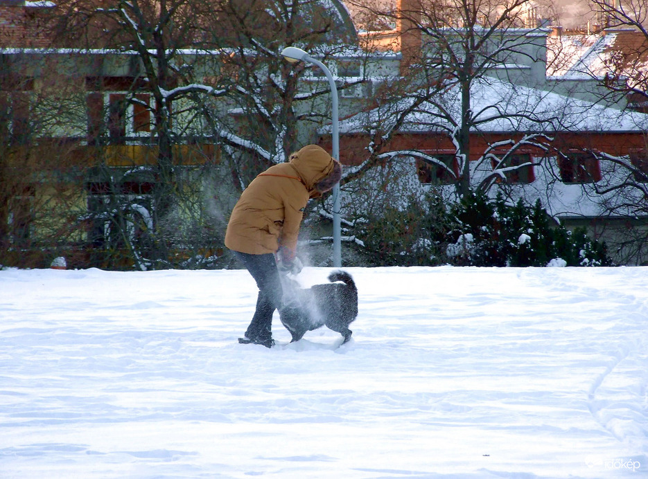 A játék öröme :) 