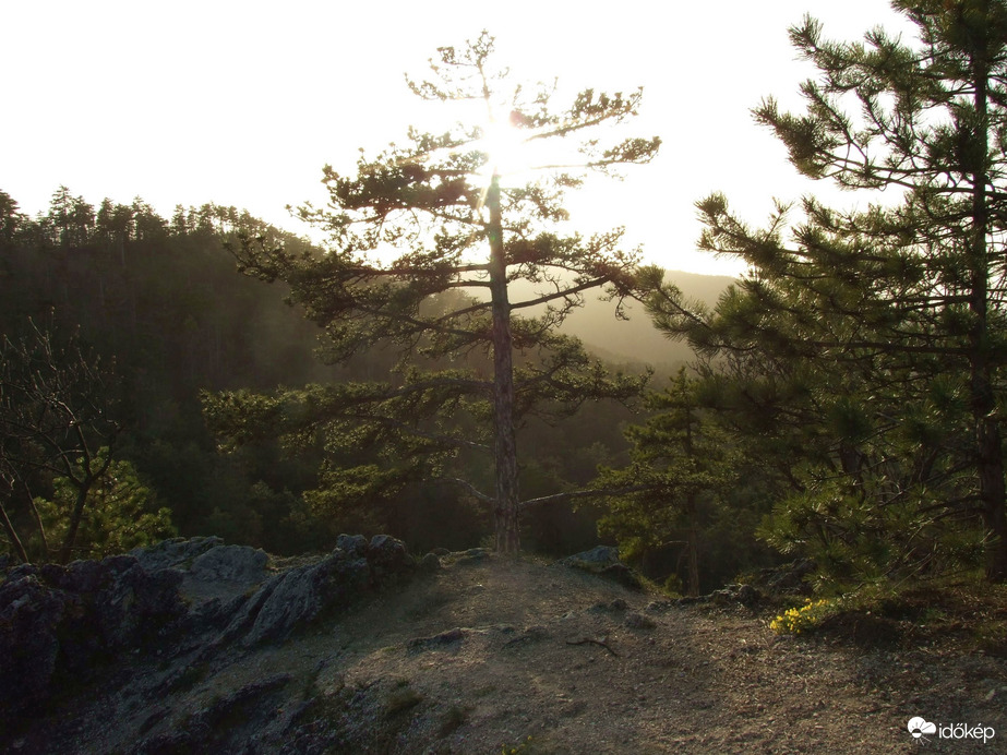 Zsíros-hegyi "kilátások"