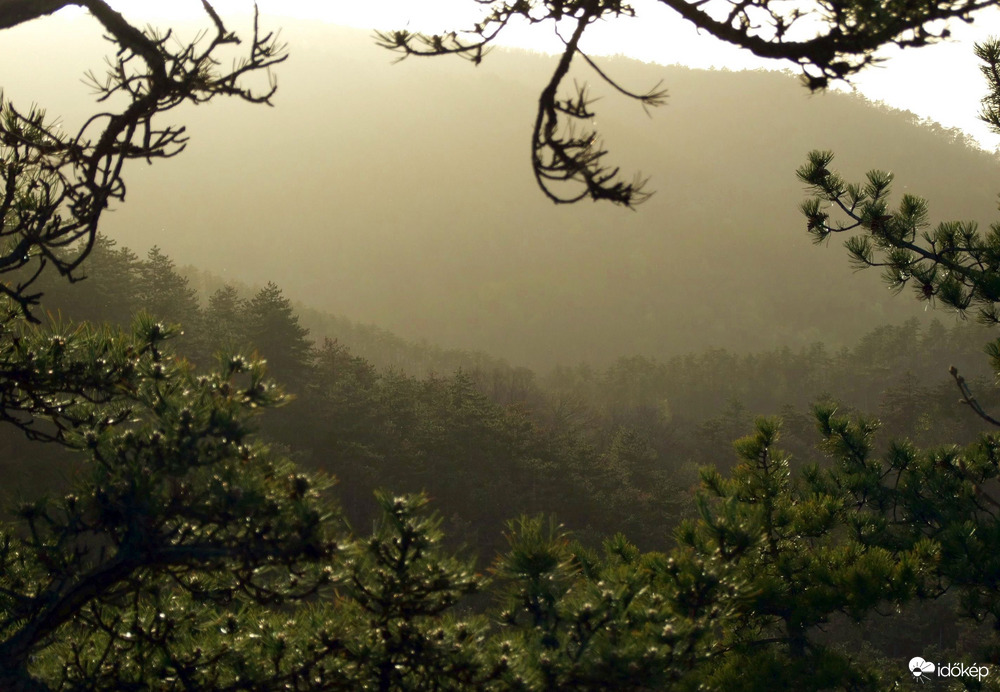 Zsíros-hegyi "kilátások"