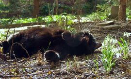 Áááá, király idő van! :)