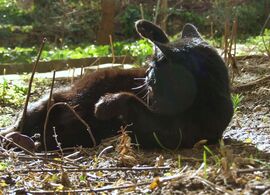 A francba! Megint nem látom, ki fütyörészik ott. :)