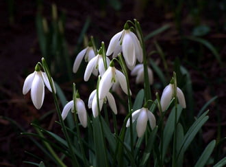 Délelőtti fényben 