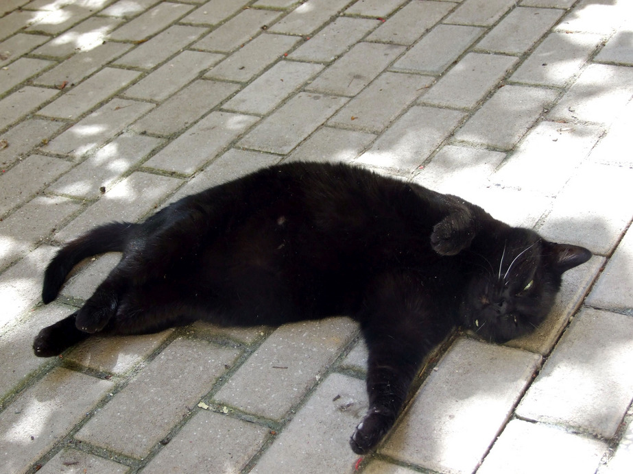 Mai napi lustulások :))