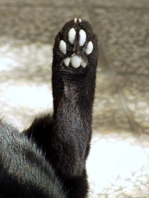 multifunkciós készülék :))