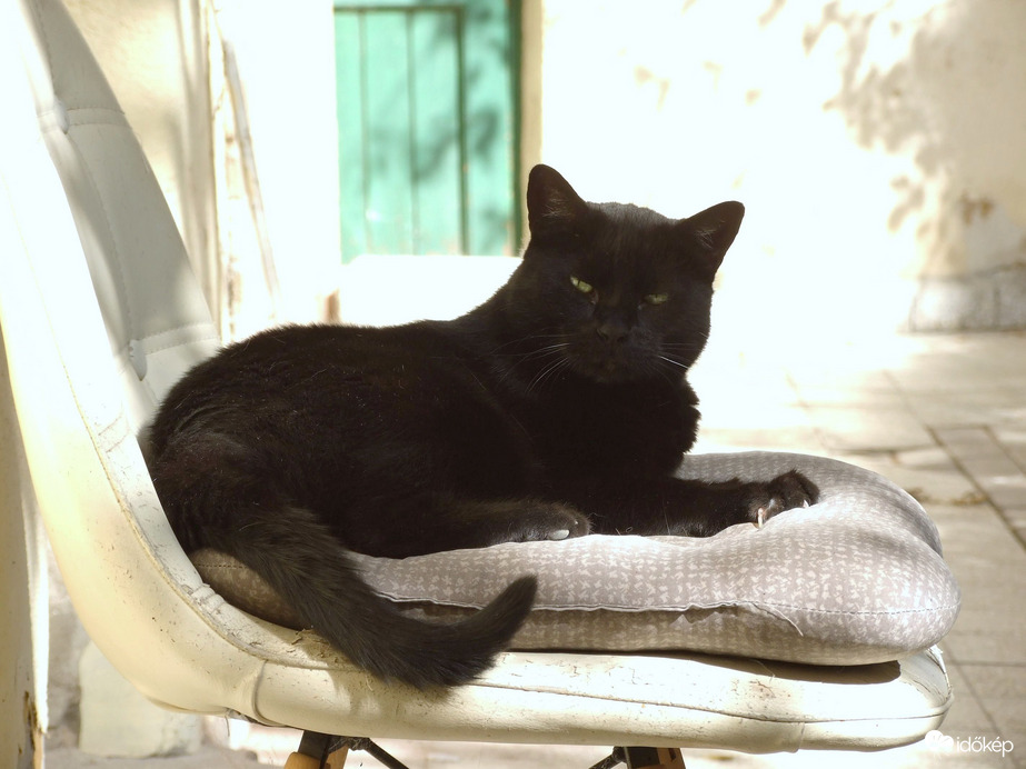 Don Egerésző, a terület ura :)