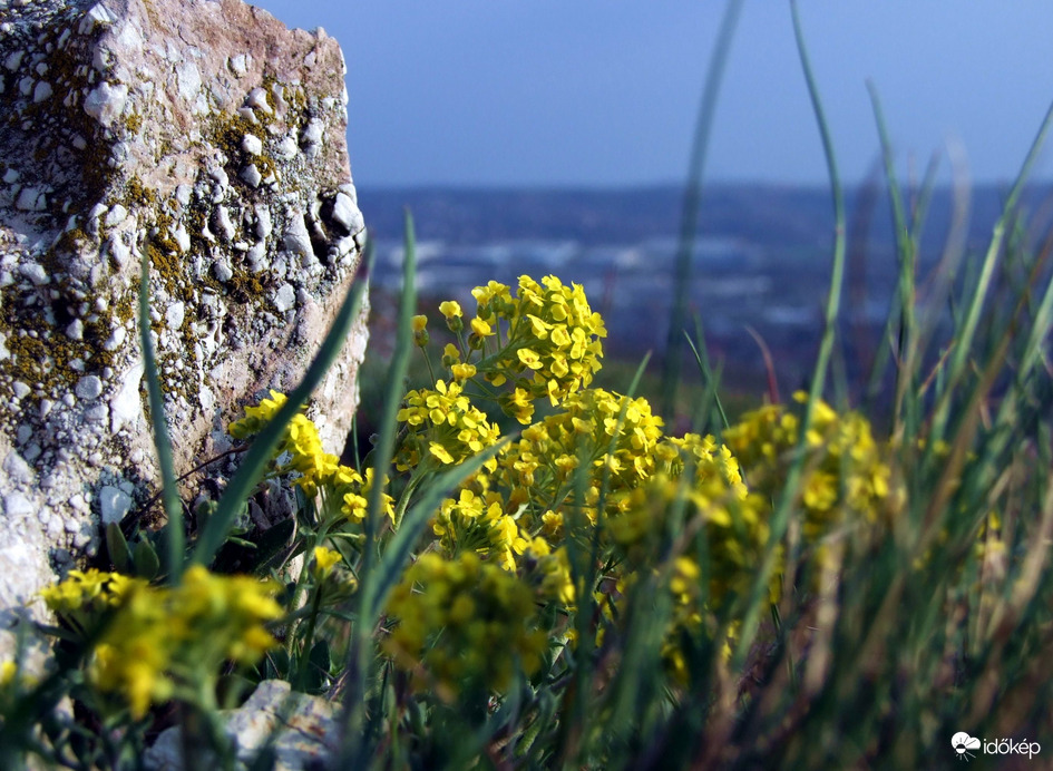 Budaörstől Csillebércig 