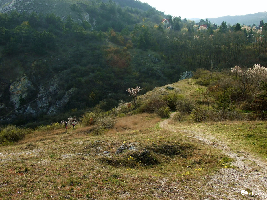 Budaörstől Csillebércig 