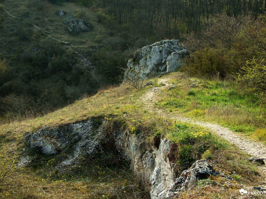 Budaörstől Csillebércig 