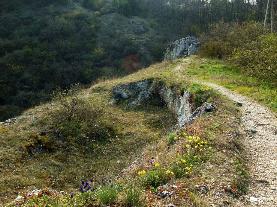 Budaörstől Csillebércig 