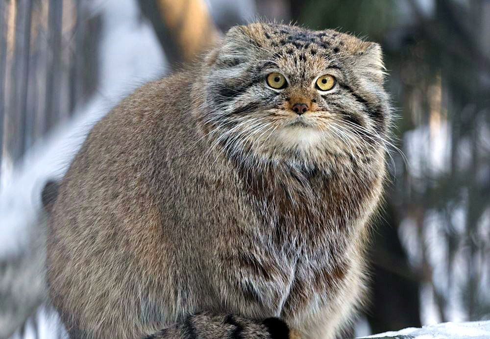 Rengeteget ettem, viszont semmit sem mozogtam a télen. Így jól meghíztam. Nem tudom, ti hogy vagytok ezzel...:) 