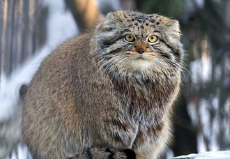 Rengeteget ettem, viszont semmit sem mozogtam a télen. Így jól meghíztam. Nem tudom, ti hogy vagytok ezzel...:) 