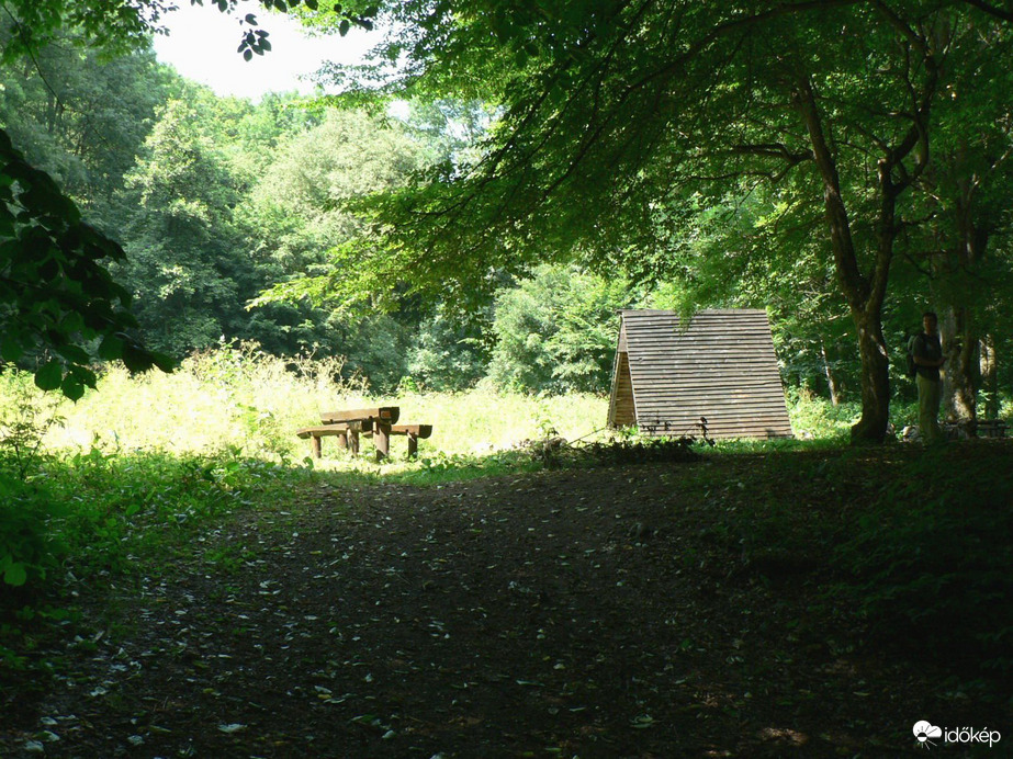 Erdei pihenő