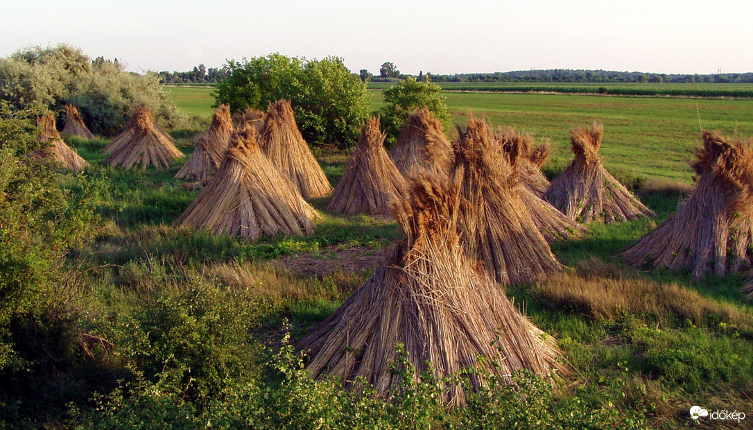 Szalmabálák 2. 