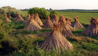 Szalmabálák 2. 