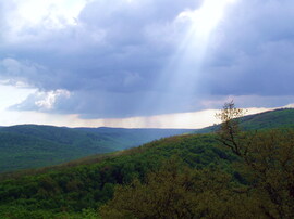 Égi üdvözlet 