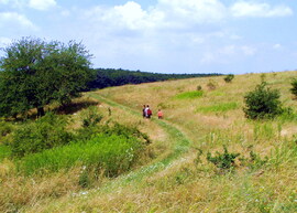 Dombokon, hegyeken 
