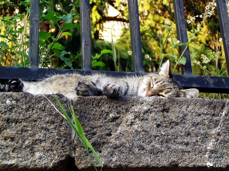 Zzzz... :))