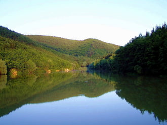 A csend világa 