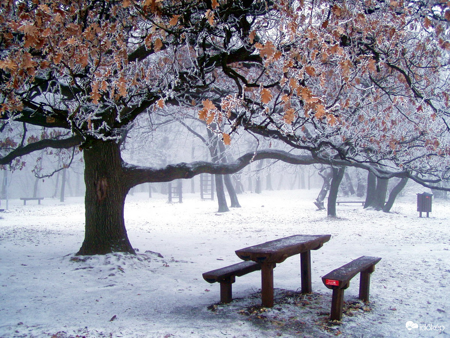 Fagyos, jeges időjárás 