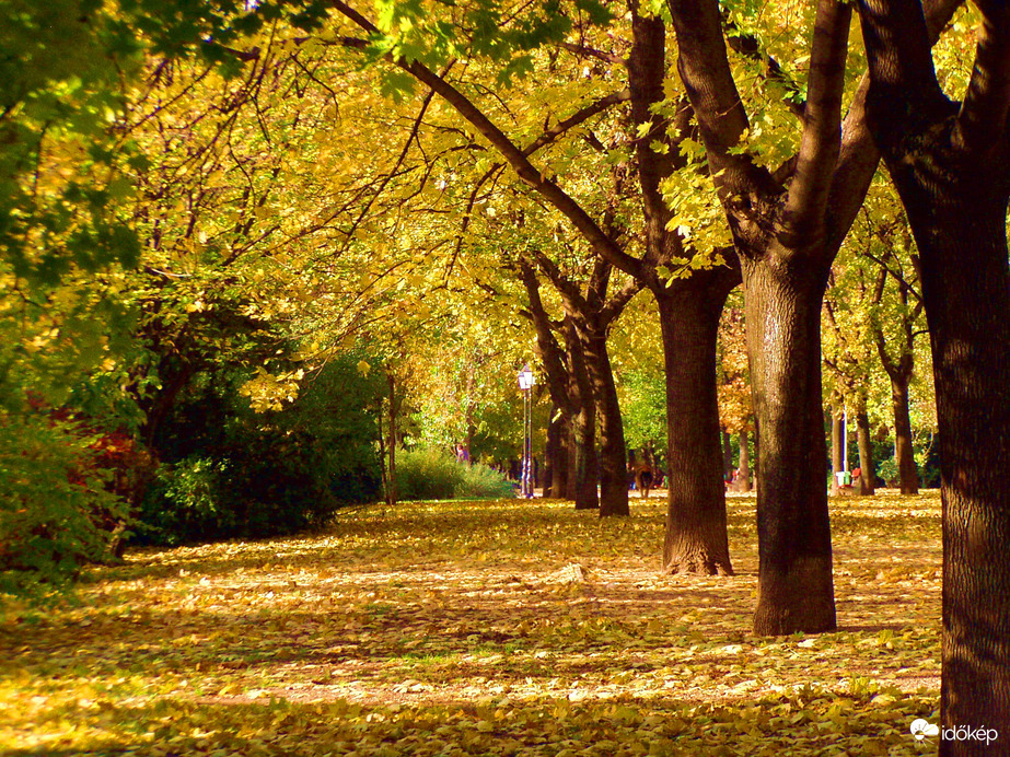 Novemberi napsütés 