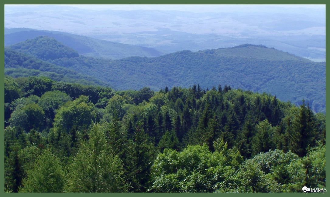 A Bükk tetején 