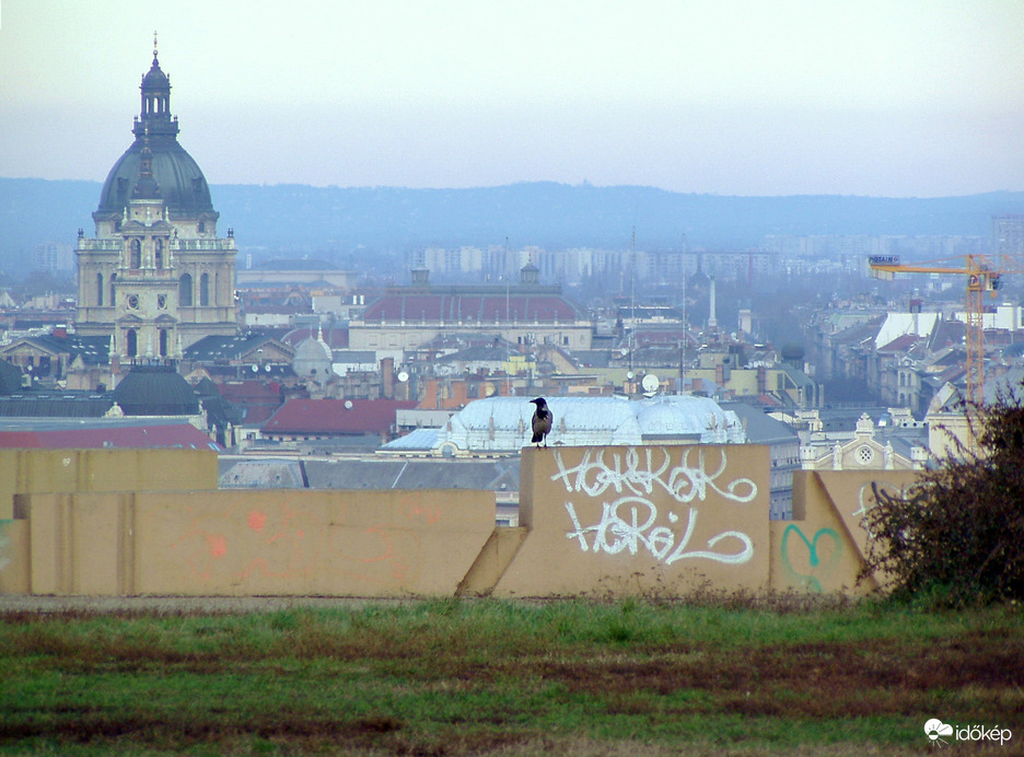 Délutáni terepszemle :) 