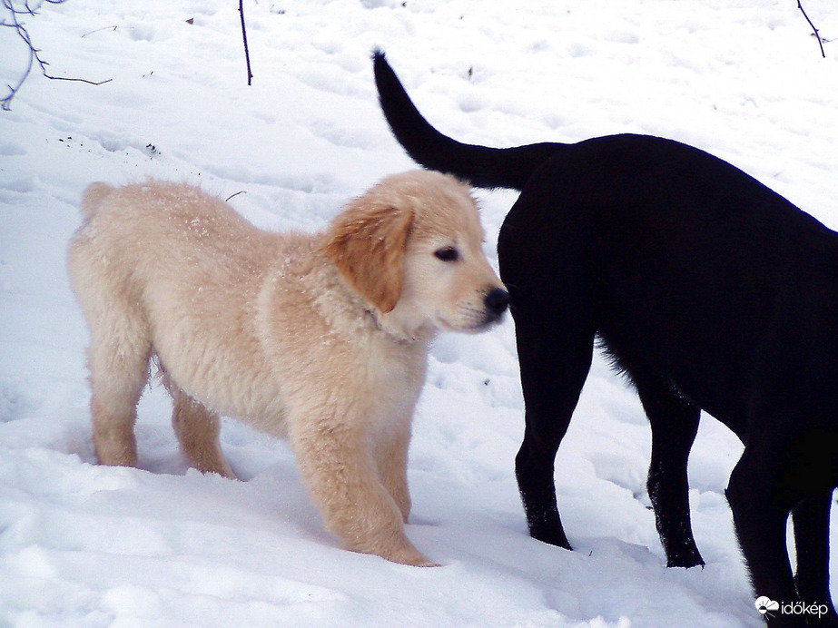 Van, aki most lát először havat :)