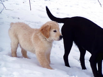 Van, aki most lát először havat :)