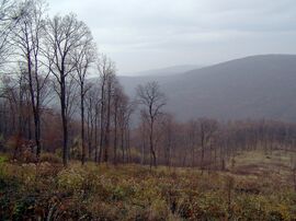 Elhagyott, kihalt e táj... :) 