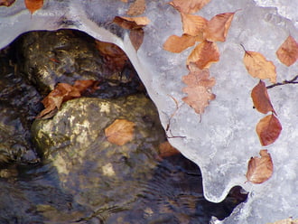 Aranyrögök a jág alatt! :)