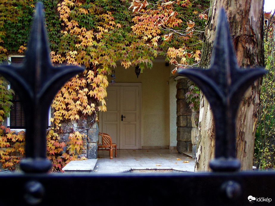 Secret garden :)