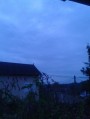 Monorierdő