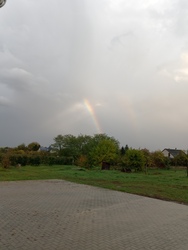 Ököritófülpös