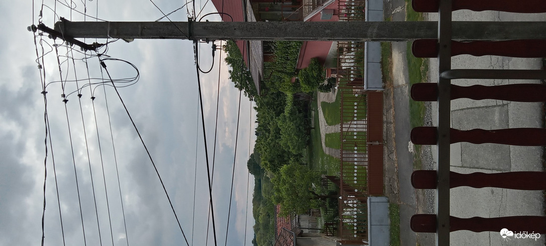 Orci