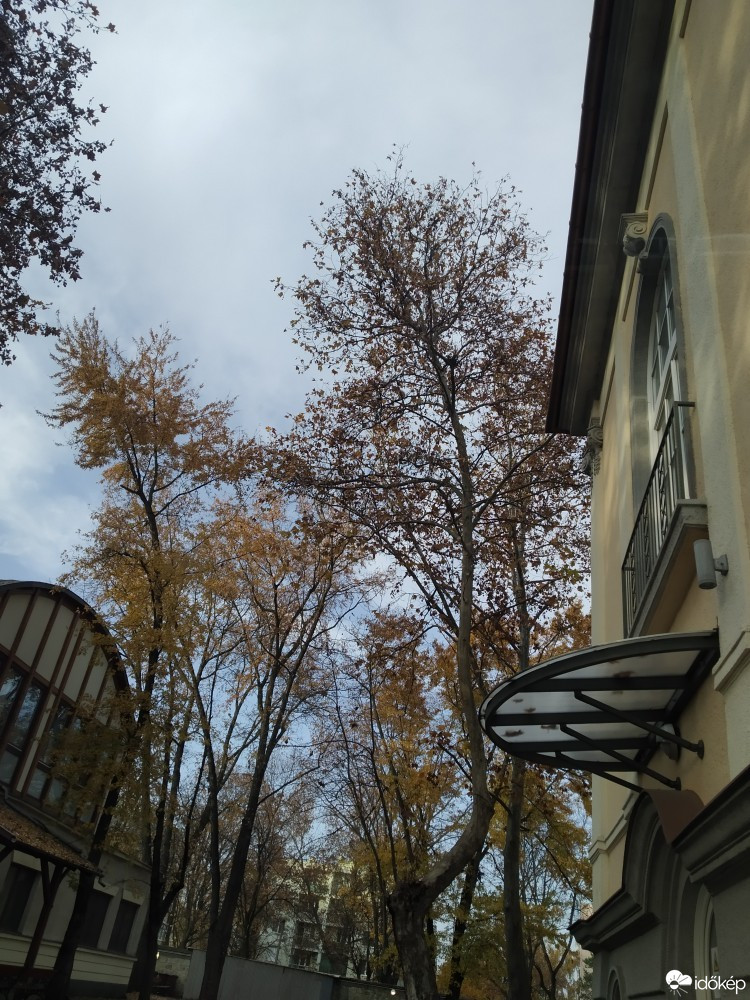 Nyíregyháza