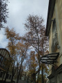 Nyíregyháza