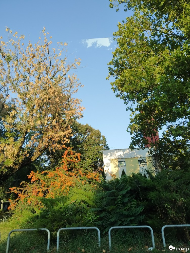 Nyíregyháza