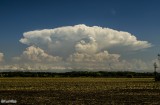 Cumulonimbus incus 