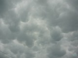 20110606_1