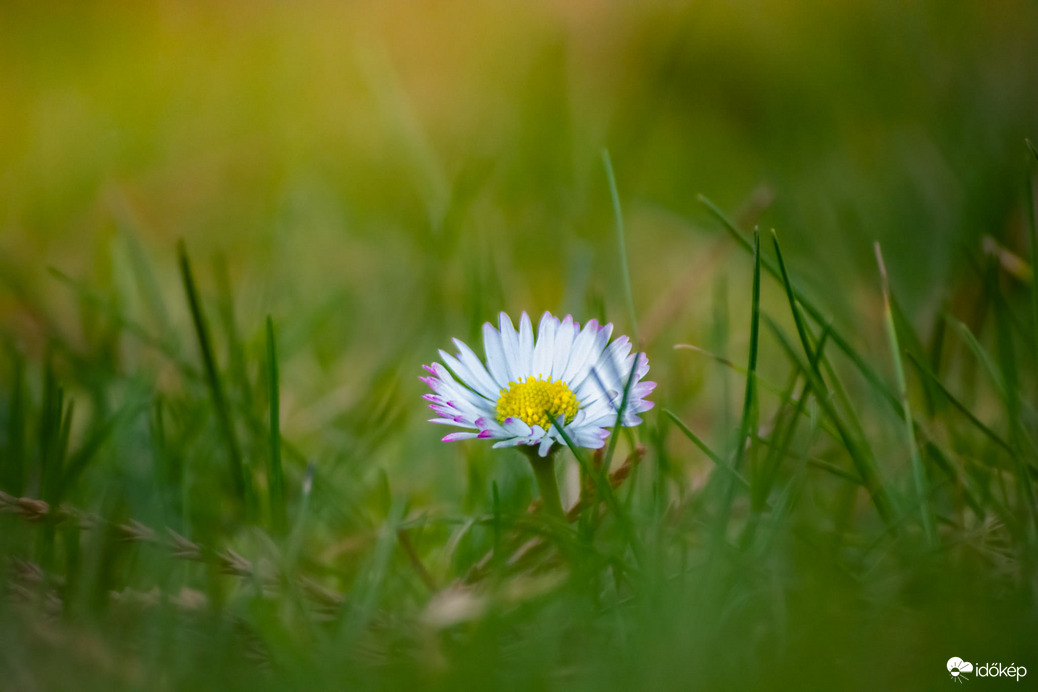 georgina1011 fotója