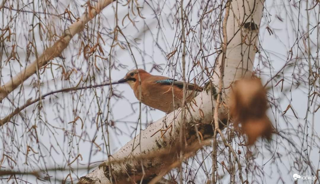 Felszállásra készen