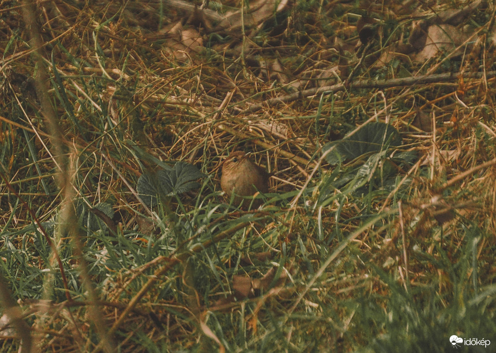 Úgy sem találsz meg